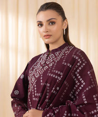 3 Piece - Embroidered Khaddar Suit